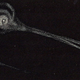 Illustration for article titled October 8, 1871: The Night America Burned